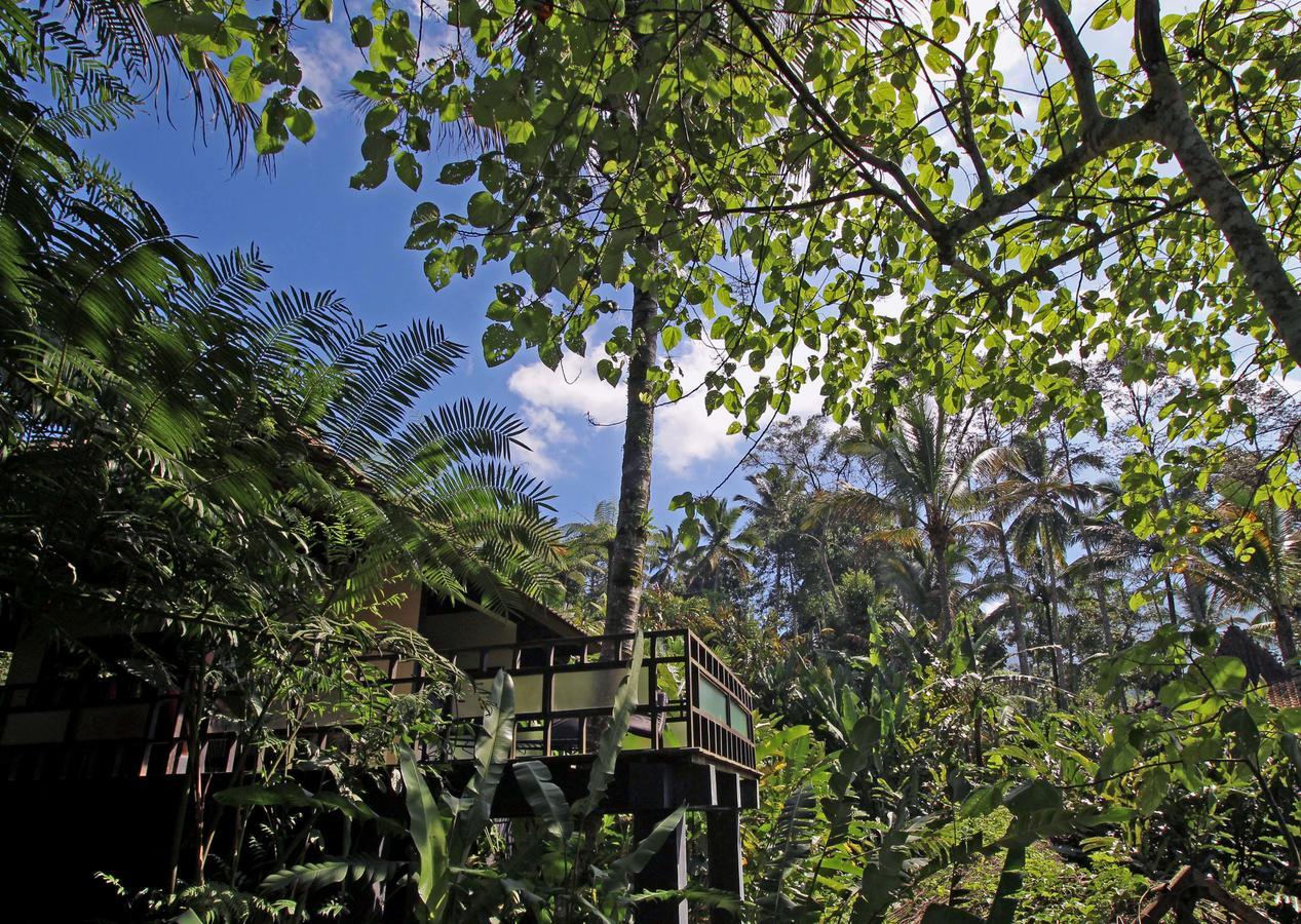 Alassari Plantation Selemadeg  Екстер'єр фото